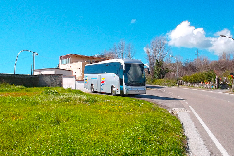 Matteo bus