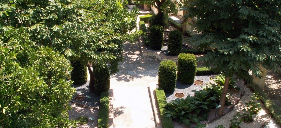 Giardino della Minerva (Salerno)